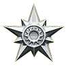 Total Silver Stars